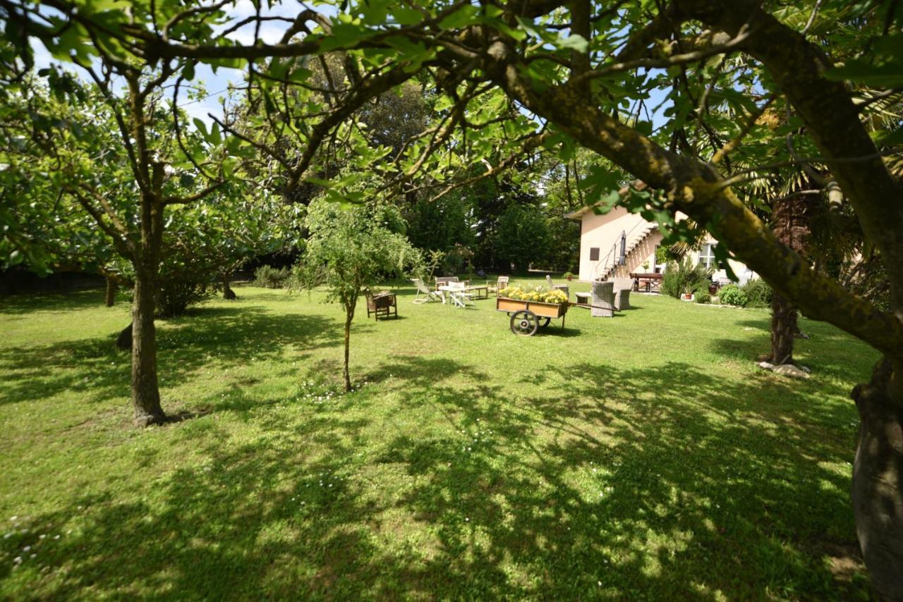 Capannone111 Bed & Breakfast Castiglione di Ravenna Eksteriør bilde