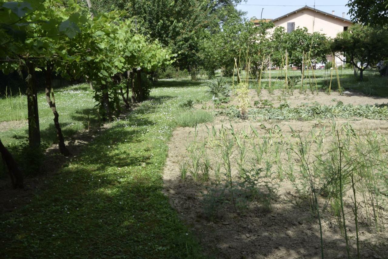 Capannone111 Bed & Breakfast Castiglione di Ravenna Eksteriør bilde
